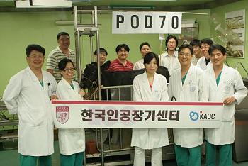 고대 한국인공장기센터서 자체개발한 인공심장 이식 송아지