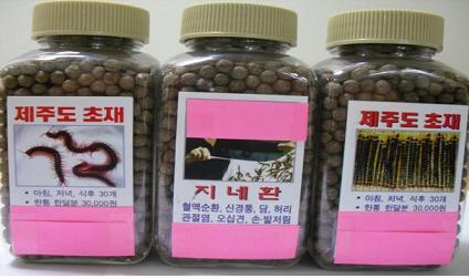 지네환