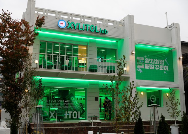 롯데웰푸드, 성수동에 자일리톨 팝업스토어 오픈