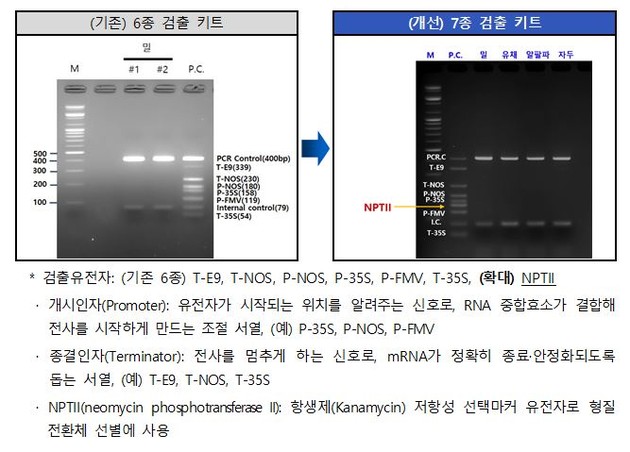 국립종자원 "국민 먹거리, 더 안전하게"