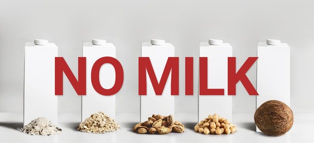 식물성 음료, '우유' 명칭 사용 안돼