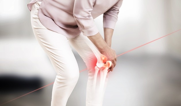 관절영양제 신원료 'DEM' 무엇이 다른가