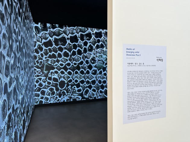 안국약품, 석혜원 작가 미디어아트 전시 개최