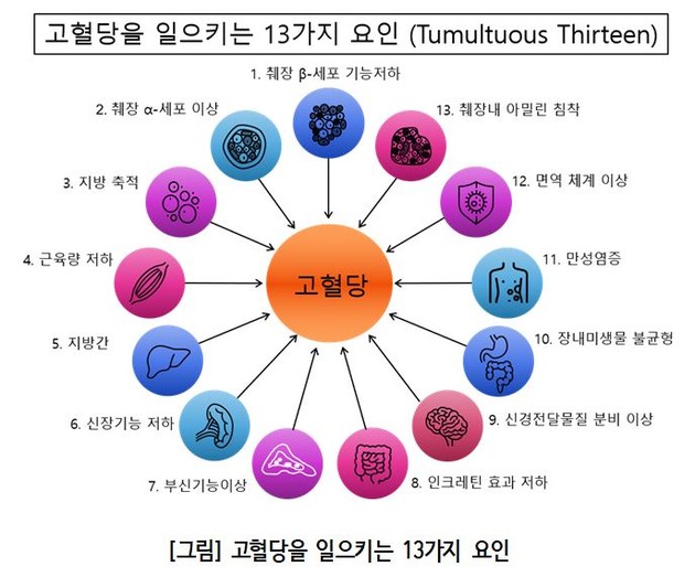 2형 당뇨병, 췌장 질환 넘어 전신 질환으로 재조명