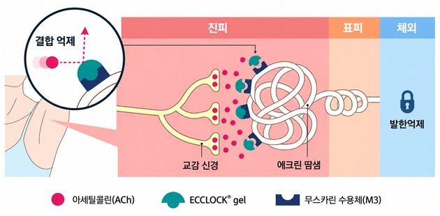 동화약품, 겨드랑이 다한증 치료제 '에크락겔' 종합병원 24개처 랜딩