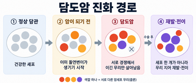 분당서울대 연구팀, 담도암 발생·재발·전이 유전체 진화 경로 규명