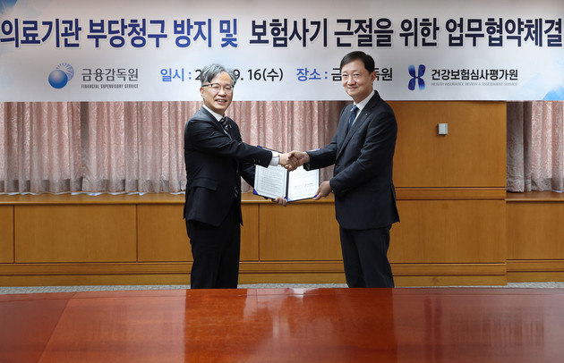 심평원·금감원, 공·민영보험 부당청구·보험사…